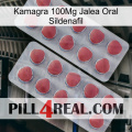 Kamagra 100Mg Oral Jelly Sildenafil 19